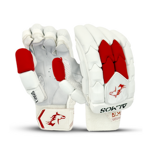 Cricket Batting Gloves Shah X 
