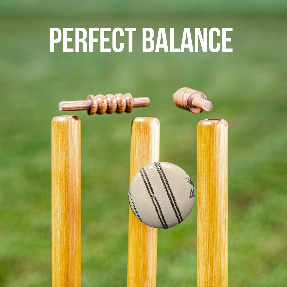 Almos Sports Cricket Hard Ball White - Pack of 6 Premium Leather Ball 