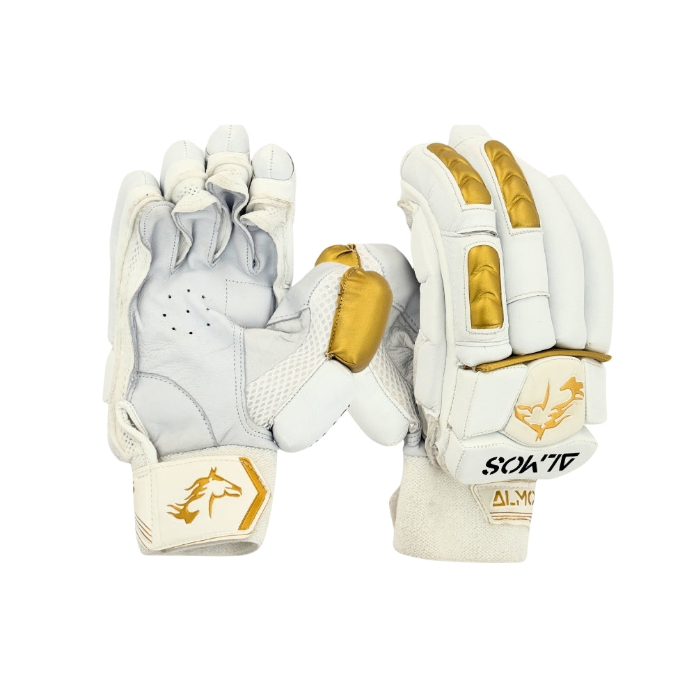 Cricket Batting Gloves Haadi 